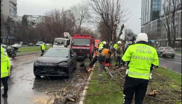 Şiddetli rüzgar kazaya neden oldu! 4 araç birbirine çarptı